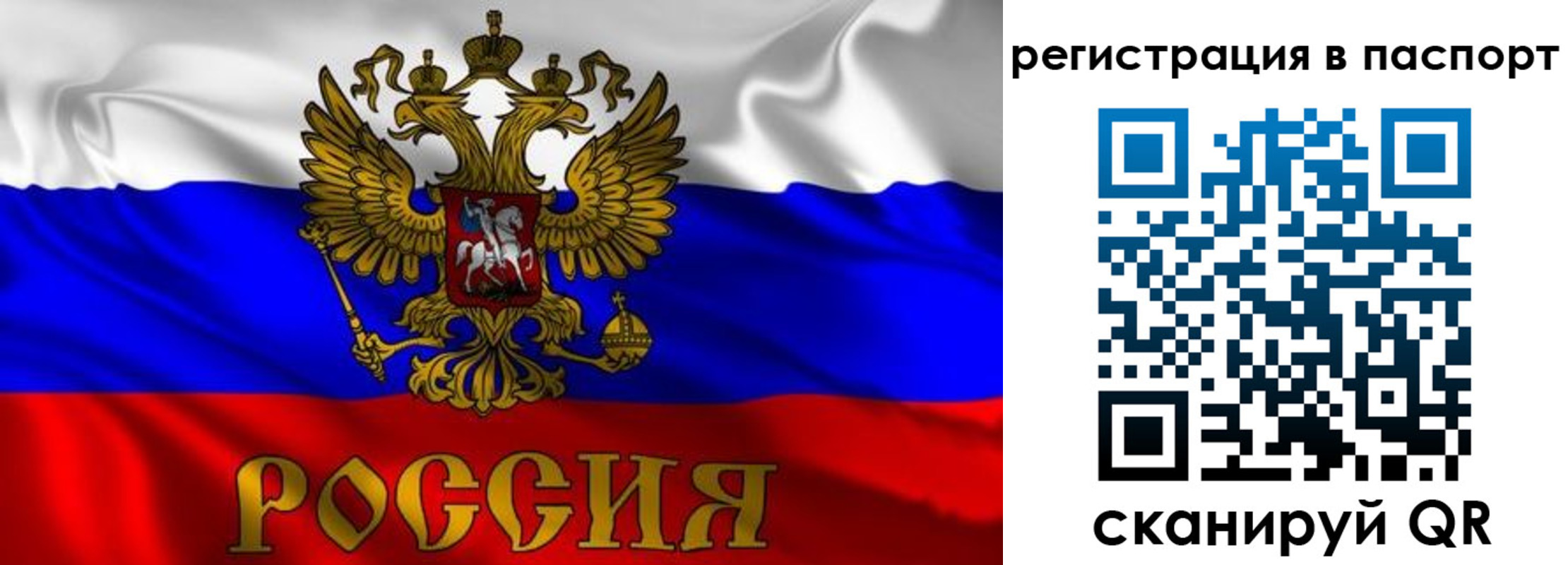 найти адрес прописки в Звенигороде